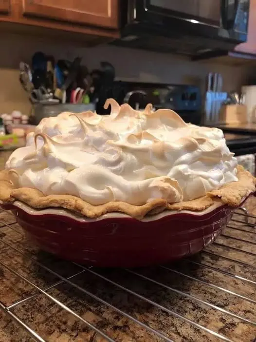A perfect slice of lemon meringue pie showing distinct layers of crust, yellow curd, and toasted white meringue