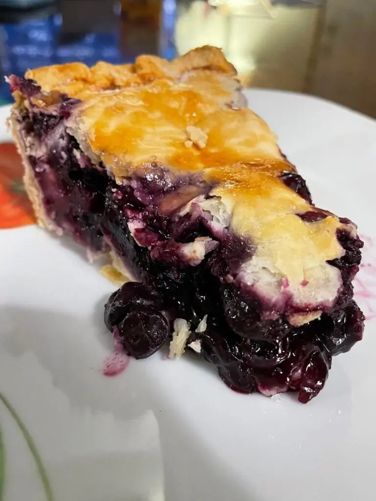 A slice of blackberry cobbler served with a scoop of melting vanilla ice cream