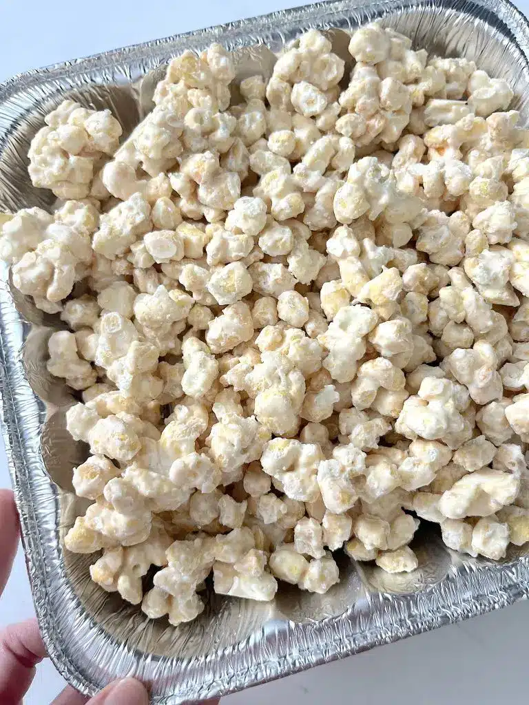 Close up of freeze dried fruit candies showing the porous crunchy texture