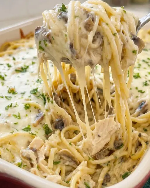 A serving of chicken tetrazzini on a plate garnished with fresh parsley
