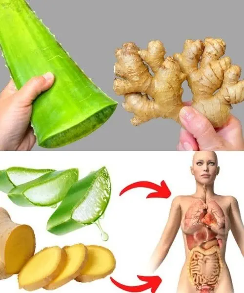 A glass of ginger aloe vera tonic garnished with mint and a lemon slice
