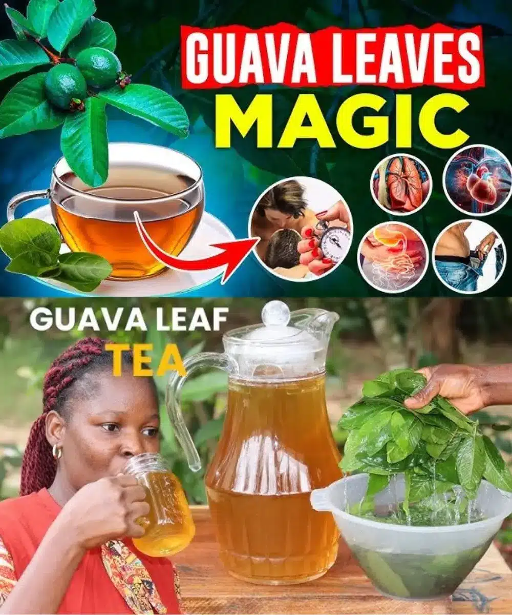 Dried guava leaves and a cup of freshly brewed herbal tea