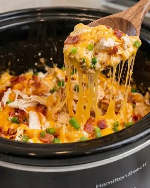 Finished creamy crack chicken served on a toasted bun with green onions